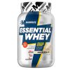 Bigmuscles Nutrition Essential Whey Protein 1Kg [Malai Kulfi] |24g Protein per serving